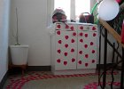 DSCN3103