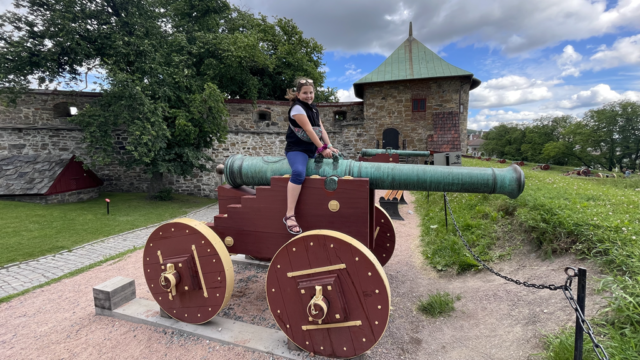 Die Schurken können kommen Die Schurken können kommen